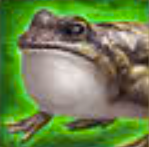 Cáp Mô Công